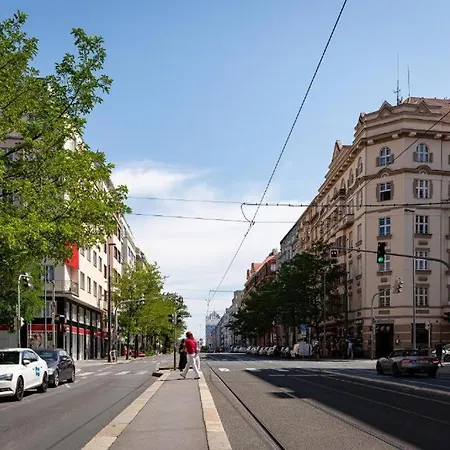 Premium Lion Praha